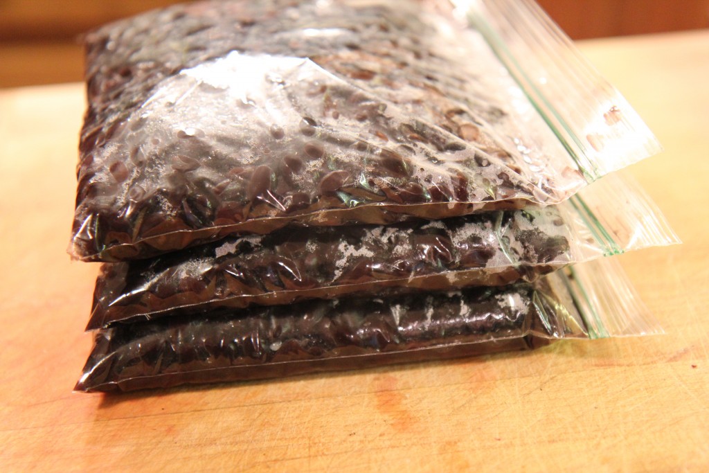How to Freeze Black Beans