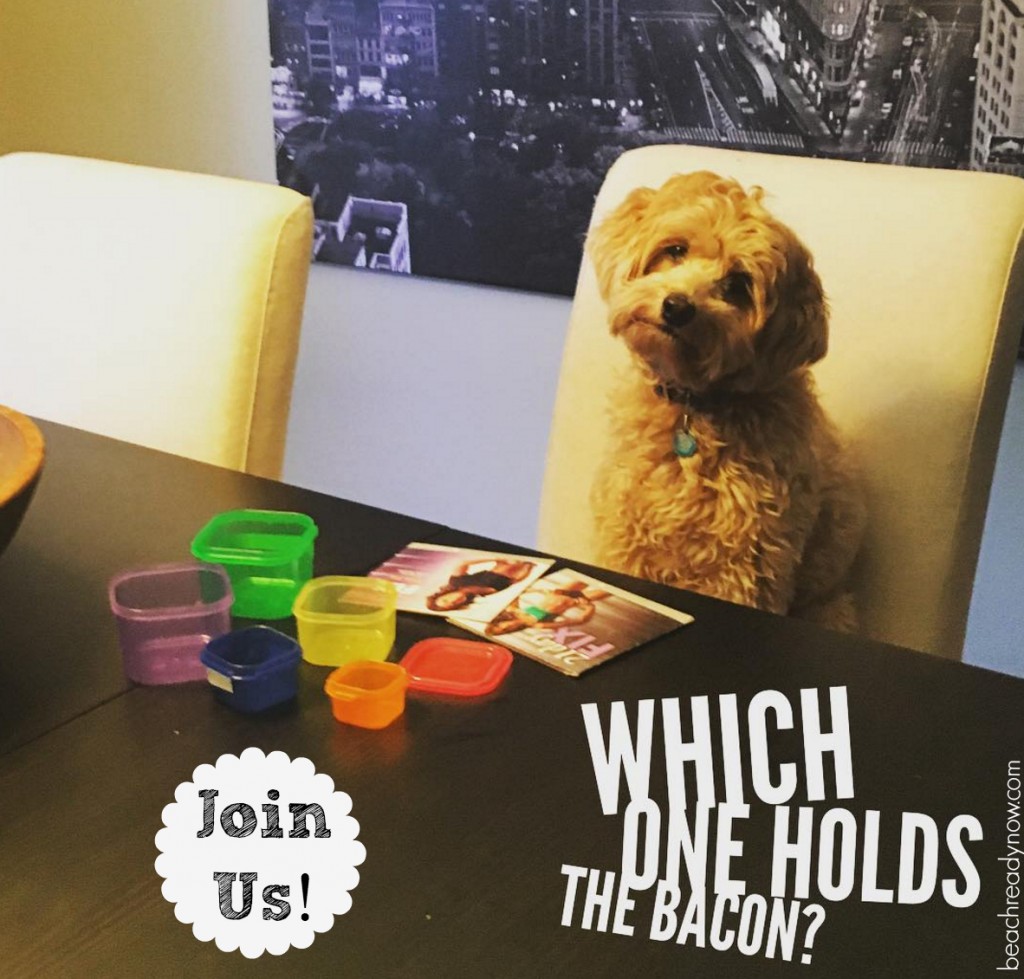 21 Day Fix - Join #PennytheGoldendoodle as we make sense of it all!