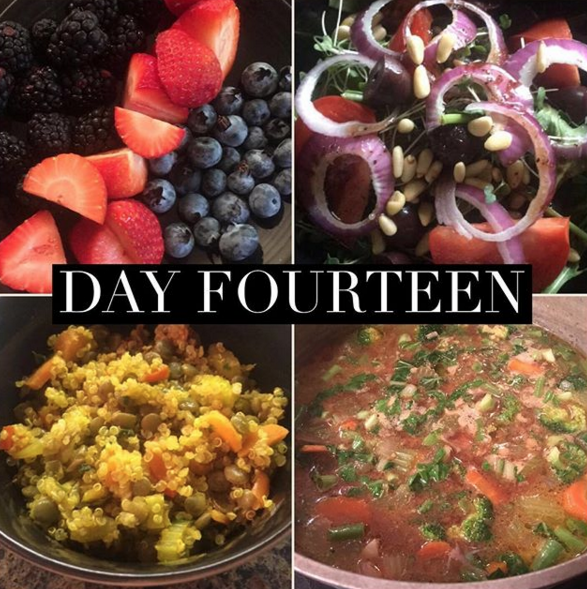 DAY FOURTEEN Ultimate Reset