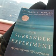 The Surrender Experiment by Michael Singer